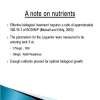 Slide11